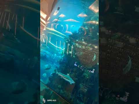 شاهدو الفيديو واكتب فين المكان ده