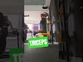 Triceps 💪 🤔🫡 #gym #motivation #fitness #shortvideo #shorts #likes #suscribete 💥💯❤️