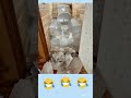 #юмор #шуточное #прикол #смешнойшортс #шутки #смех #ржака #жиза #смехотерапия #дуэты #мем #мем