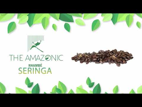78   Nhambé Seringa