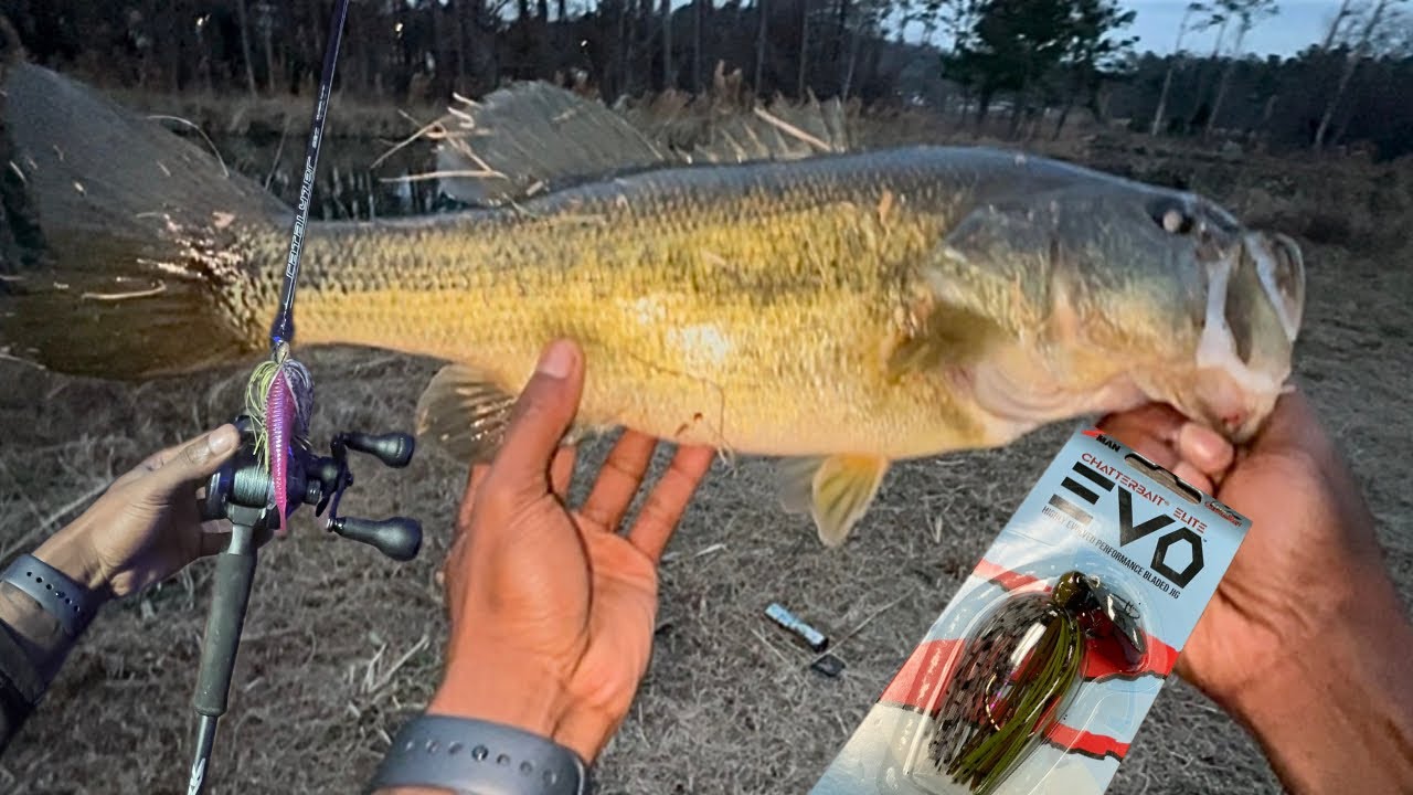 EVO Chatterbait (BAMA BREAM) Is Money In 30 Degree Weather 
