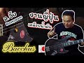 Bacchus เบสไฟฟ้า รุ่น WL4DX-ASH CHG / OIL (TW)