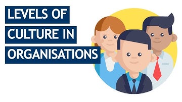 CIMA E1, P2, E3 And P3 Theory  Levels Of Culture