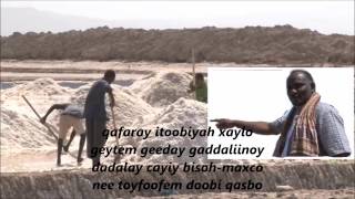 Download Lagu Hassan Pilot Gada Qali MP3 Hassan Pilot Gada Qali