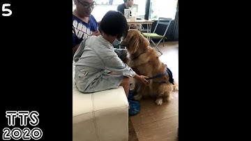 a pitch pattern that I remembered