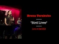 Erena terakubo   bird lives