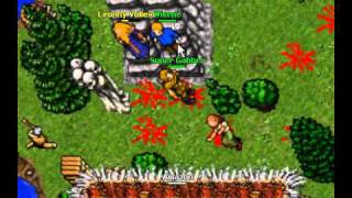 Tibia psycho killers 5 pk