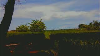 Vierra - Rasa ini (slowed reverb)