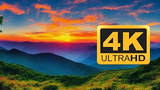 Rise and Thrive: Your Path to Unstoppable Success | 4K #motivation 🏆