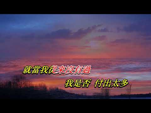 忘了你忘了我   甄妮〈原曲壓聲卡拉版〉