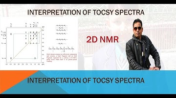 2D NMR: TOCSY NMR INTERPRETATION