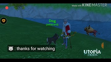 New pet dog has arrived, here is how to get it | utopia origin #2