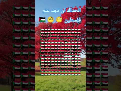 فلسطين اتحداك ان تجد علم فلسطين