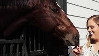 Virtual Tour | Breeder's Cup Preview 2020