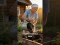 Почему клематис не цветет: секрет правильной посадки #клематис #садоводство #цветы
