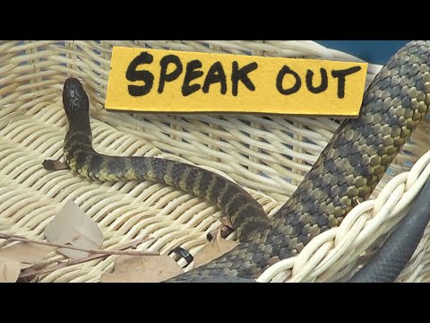 Speak Out - Changing Minds, Saving Snakes