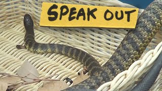 Speak Out  - Changing Minds, Saving Snakes