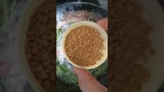 Hair Fall Control Oil