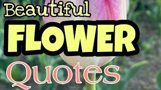 Top 17 citate despre flori || Colecție de citate despre flori