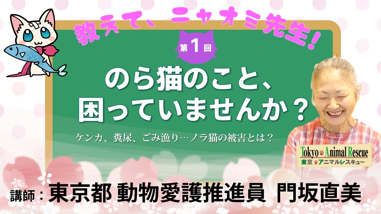 地域猫オンライン講座