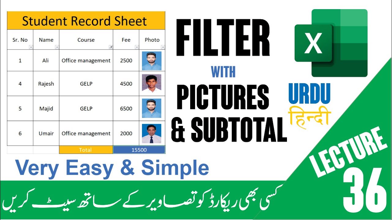 How to Insert Image in Excel Cell Correctly with Filter | Subtotal ...