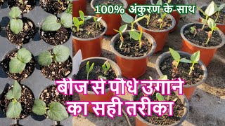 बीज से पौधे उगाने का सही तरीका | Seedling K Liye Kon Si Mitti Best Hai, Seed Lagane Ugane, ka tarika