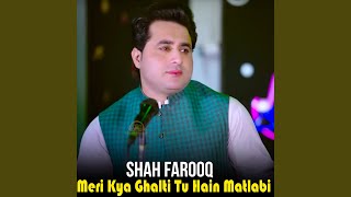 Meri Kya Ghalti Tu Hain Matlabi