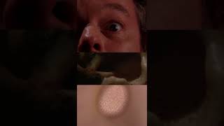 Waking up in a David Lynch movie #davidlynch #movie #film