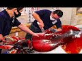 Incredible giant squid fishing  how to cutting giant squid and squid processing in factory