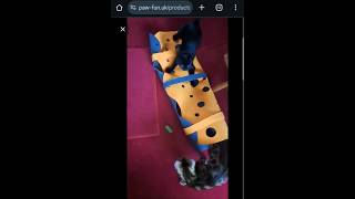 https://www.pfoten-spass.de/products/introducing-pawfun%E2%84%A2-diy-felt-cat-tunnel