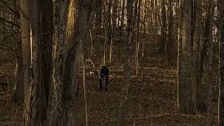 I Was Condemned- Sickest Sense (Official Music Video)