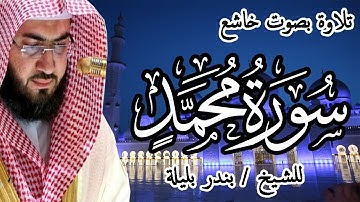 تلاوة بصوت خاشع | سورة محمد | للشيخ بندر بليلة | Bandar Balilah, Surat Mohammed
