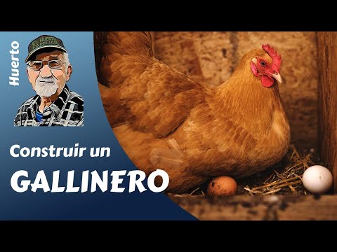 Learn how to build a chicken coop in your garden, step by step. And with friends!