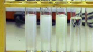 تجربة تفاعل نترات الفضة AgNO3 مع (كلور الصوديوم، بروم الصوديوم، يود الصوديوم)