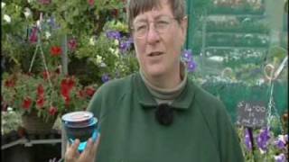 christine walkden receives an aoc gold award