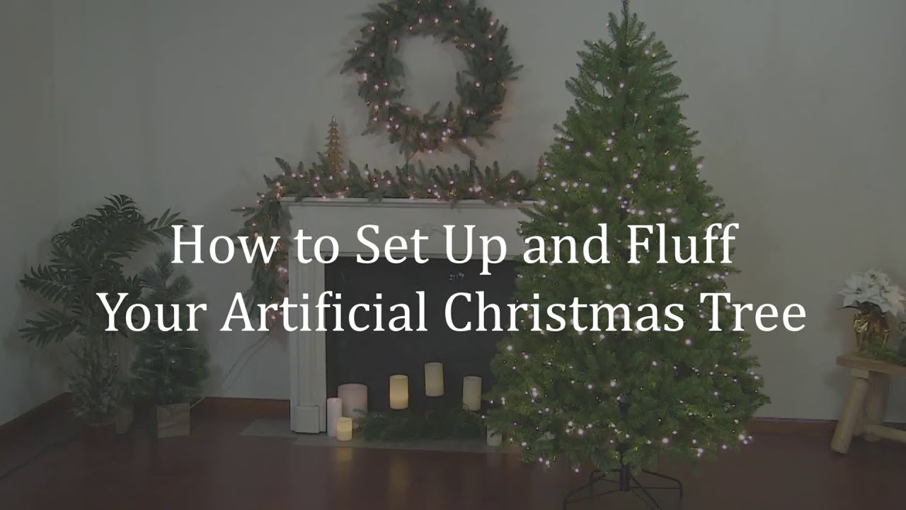 How to Set Up and Fluff Your Artificial Christmas Tree from Dave's