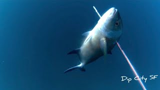 Laag Dala Pamana😍| Spearfishing |DipCitySF