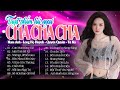 Siêu Phẩm Cha Cha Cha Nhạc Trẻ Hải Ngoại Hay Nhất - Cơn Mưa Băng Giá - Album Cha Cha Live Band