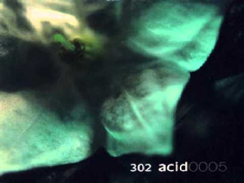 302 Acid — {302 Acid} Paranoiac