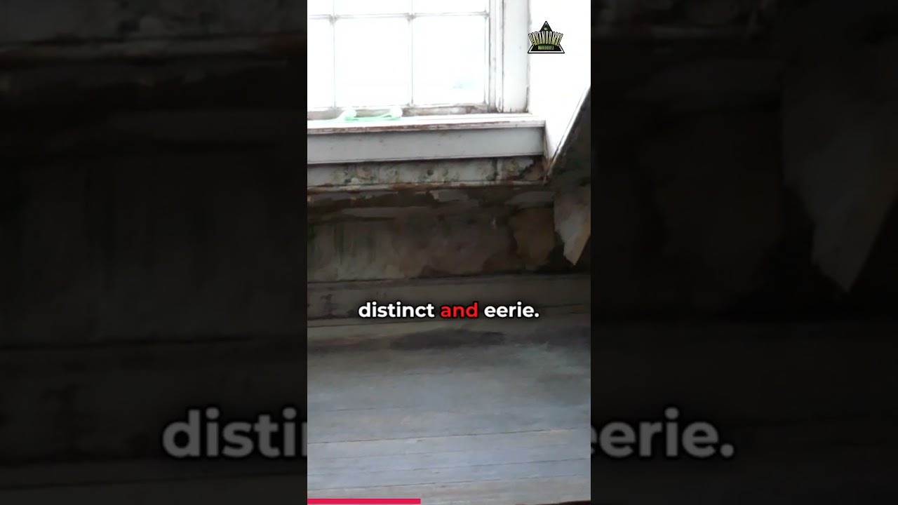 DIRECT PARANORMAL RESPONSE 😟 