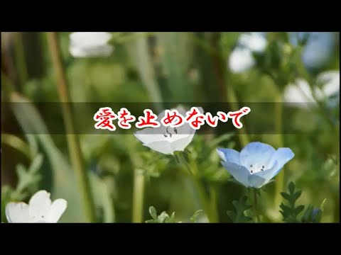 愛を止めないで　LOOKINGBACK　小田和正 　instrumental cover by py　 インストゥルメンタル　 　カバー　 　MIDI 　　DTM