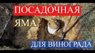 Посадочная яма для винограда.