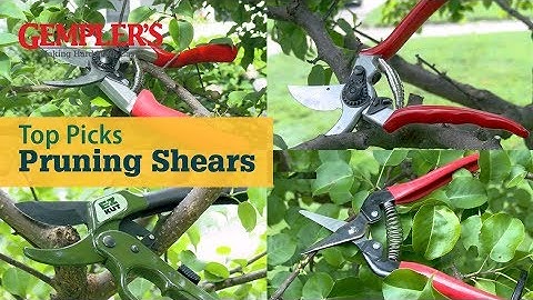 Pruning Shears Top Picks