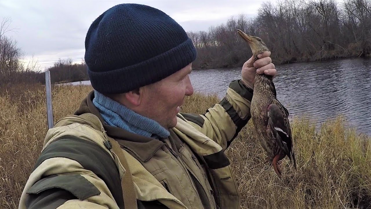 Рыбалка на НАЛИМА и не только \\ С друзьями на Печоре #3 \\ Охота на ...