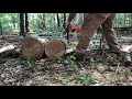 Stihl 400c 25” bar