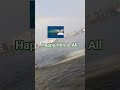 Happy Holi to all #automobile #holi #tour #waterfall #funny #viral