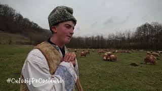 📍 ”Blândul păstor”: în prag de iarnă la tânărul cioban IONUȚ LAZĂR din satul DELENI, jud. MUREȘ 🆕