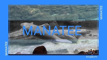 EXPLORING CINCINNATI ZOO AND BOTANICAL GARDEN-Part 4/ Finale // 3CCaleb