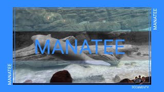 Exploring Cincinnati Zoo And Botanical Garden-Part 4 Finale 3Ccalebstv