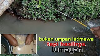 pemancing dapat hasil yang lumayan padahal umpan gak ada istimewanya